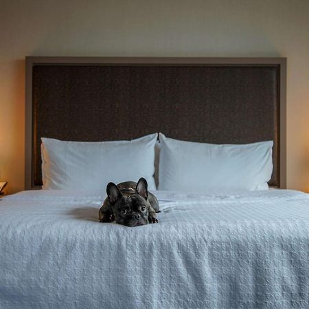 Homewood Suites By Hilton Chicago West Loop Fulton Mkt Area Zewnętrze zdjęcie