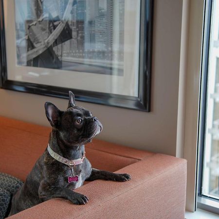 Homewood Suites By Hilton Chicago West Loop Fulton Mkt Area Zewnętrze zdjęcie