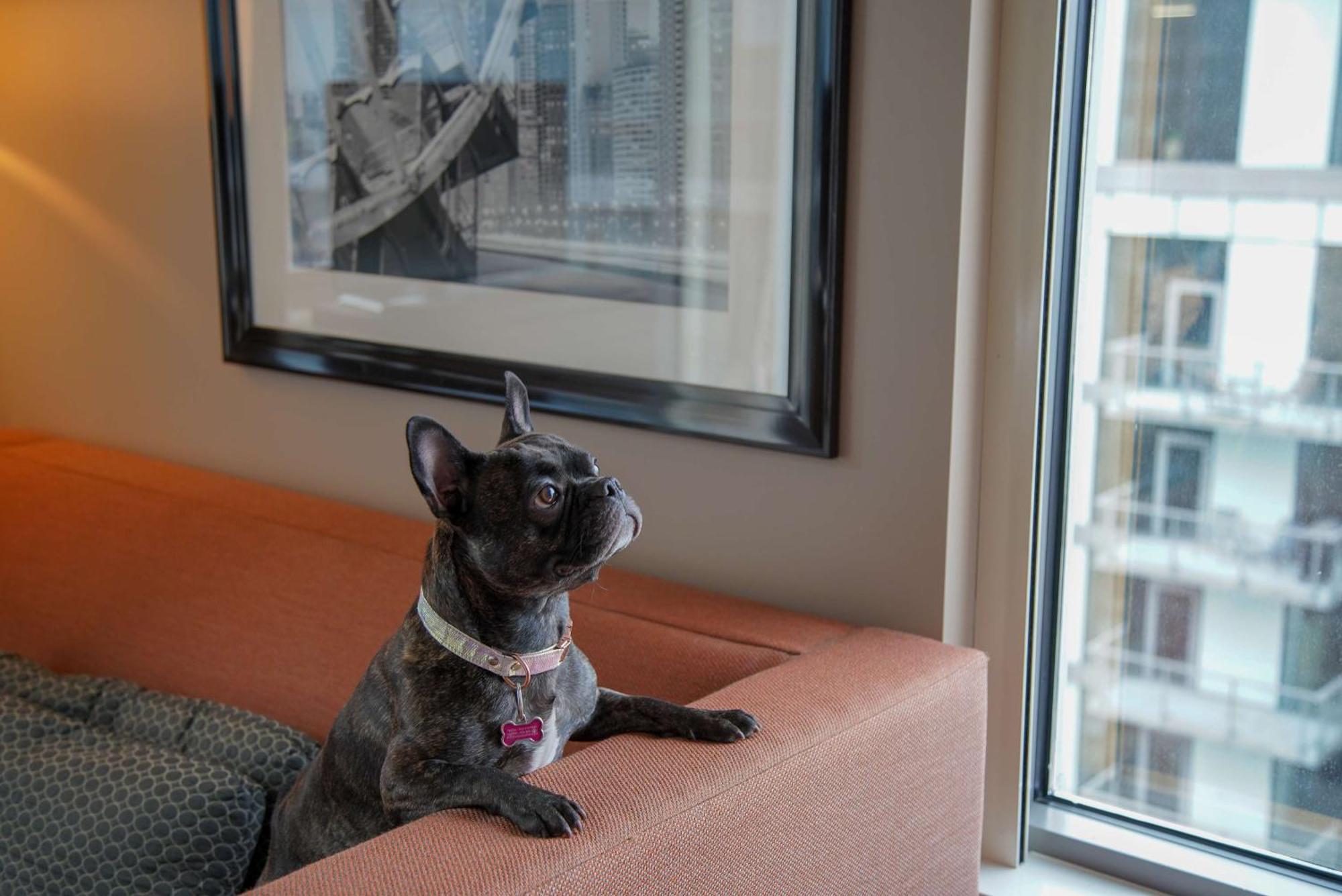 Homewood Suites By Hilton Chicago West Loop Fulton Mkt Area Zewnętrze zdjęcie